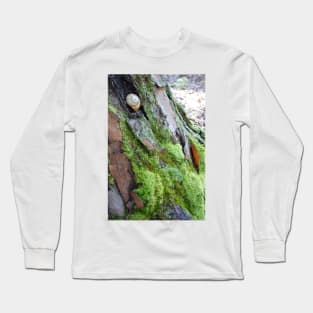 Snail Hideaway Long Sleeve T-Shirt